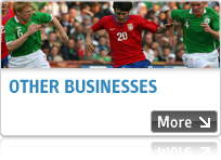 Other Businesses